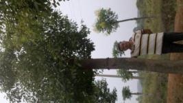 荊州市農(nóng)林牧漁產(chǎn)業(yè)發(fā)展現(xiàn)狀與前景