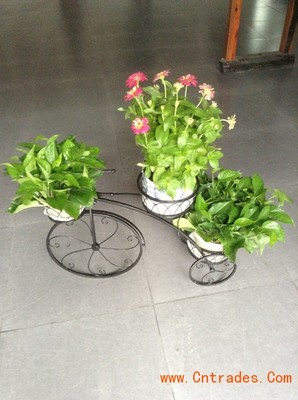 客家園藝 專業(yè)室內(nèi)花木租擺，綠化植物租賃首選